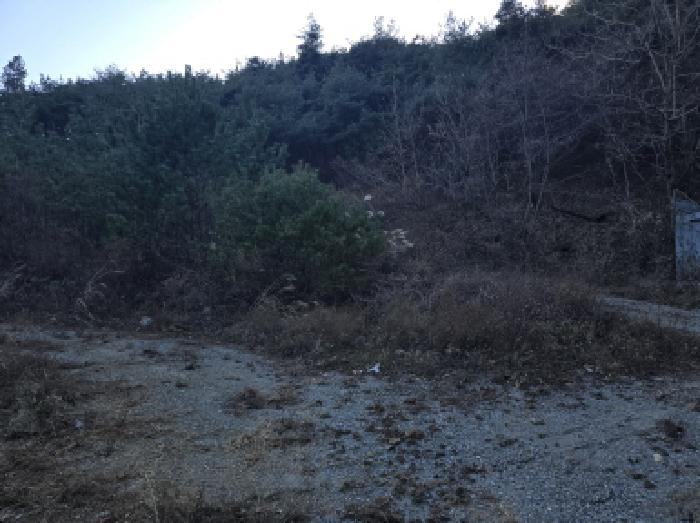 경북 영천시 신녕면 임야 경매 물건 사진 3 · 2025타경9891