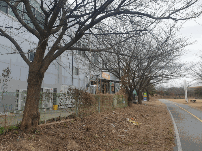 경북 칠곡군 왜관읍 대지,임야,전답 경매 물건 사진 6 · 2025타경9904