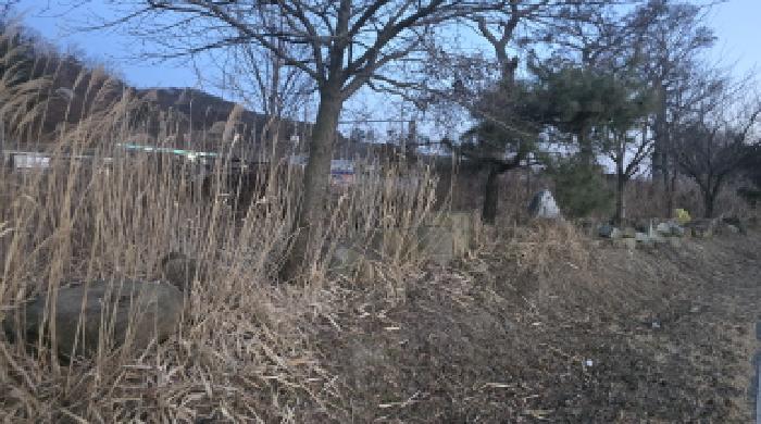 경북 칠곡군 왜관읍 대지,임야,전답 경매 물건 사진 3 · 2025타경9904