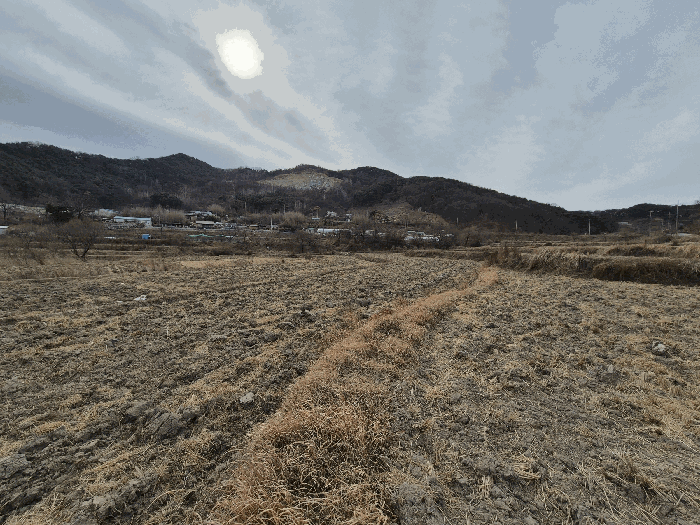 경북 칠곡군 기산면 답 경매 물건 사진 5 · 2025타경9954