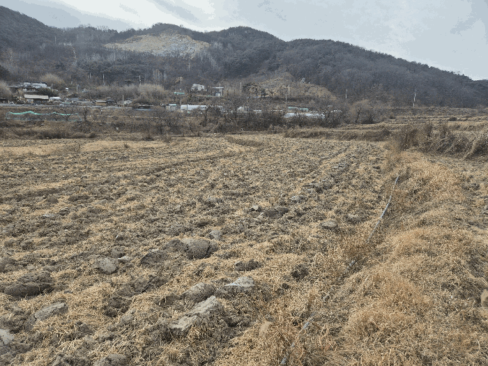경북 칠곡군 기산면 답 경매 물건 사진 6 · 2025타경9954