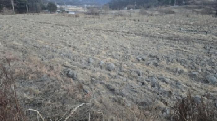 경북 칠곡군 기산면 답 경매 물건 사진 2 · 2025타경9954