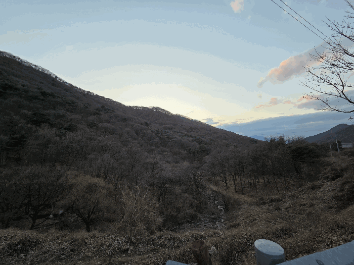 경북 칠곡군 석적읍 임야 경매 물건 사진 5 · 2025타경9976