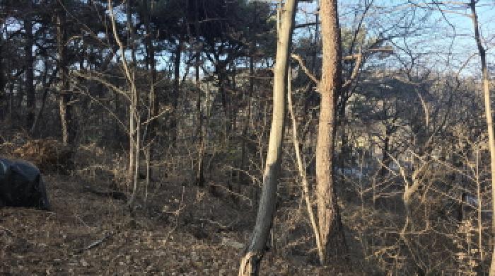 경북 칠곡군 석적읍 임야 경매 물건 사진
