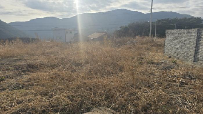 경북 칠곡군 동명면 묘지 경매 물건 사진 2 · 2026타경100132