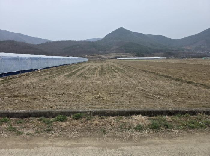 경북 청도군 금천면 전답 경매 물건 사진