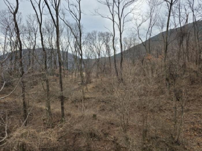 대구 동구 덕곡동 전답 경매 물건 사진