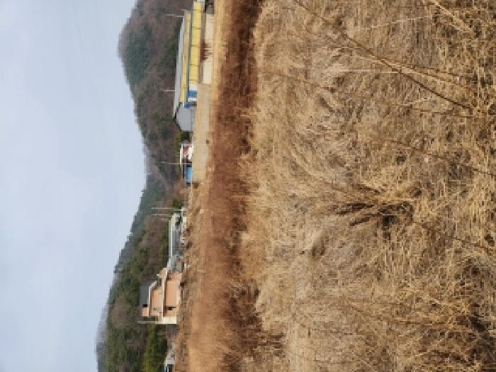 경북 경산시 와촌면 대지,임야,전답 경매 물건 사진 2 · 2026타경100330