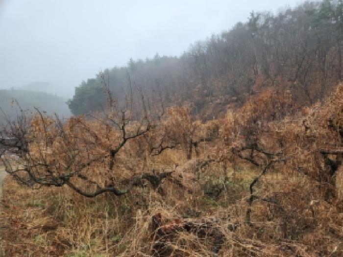 경북 영천시 서산동 전답 경매 물건 사진 5 · 2026타경100392