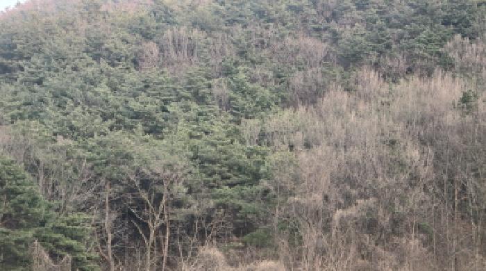 경북 칠곡군 가산면 전답 경매 물건 사진 4 · 2026타경100393