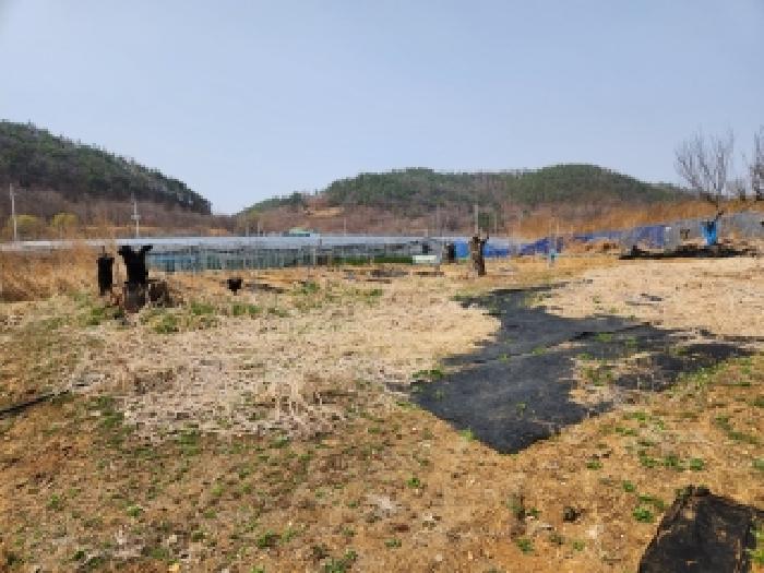 경북 영천시 화남면 대지,임야,전답 경매 물건 사진
