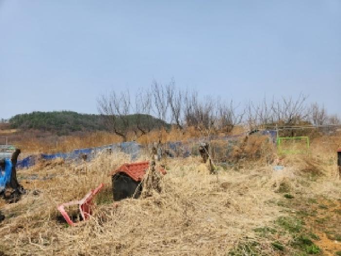 경북 영천시 화남면 대지,임야,전답 경매 물건 사진 2 · 2026타경100596