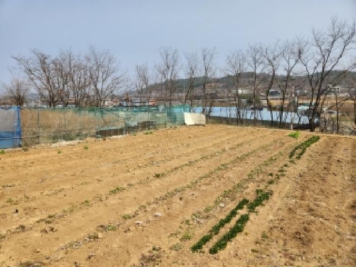경북 영천시 화남면 대지,임야,전답 경매 물건 사진 5 · 2026타경100596