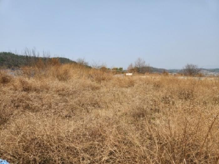 경북 영천시 화남면 대지,임야,전답 경매 물건 사진 6 · 2026타경100596