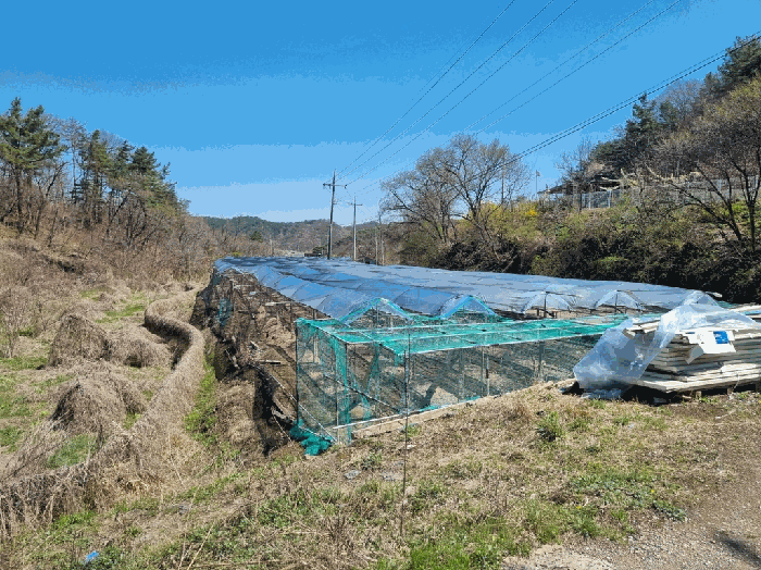 경상북도 영천시 매산동 1343 전답 경매 물건 사진