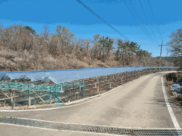 경북 영천시 매산동 전답 경매 물건 사진 5 · 2026타경100820