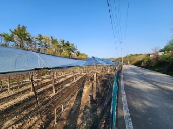 경북 영천시 매산동 전답 경매 물건 사진 2 · 2026타경100820