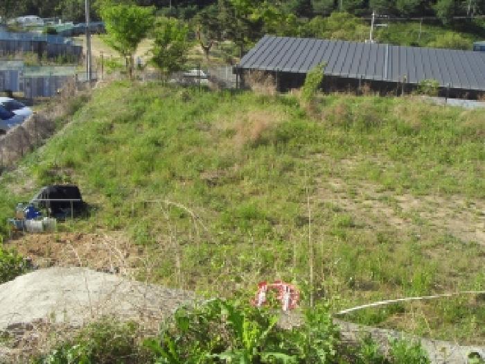 경북 칠곡군 석적읍 임야 경매 물건 사진 3 · 2026타경100972