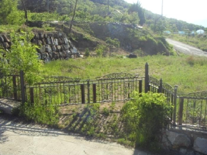 경북 칠곡군 석적읍 임야 경매 물건 사진