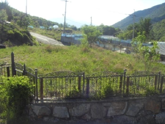 경북 칠곡군 석적읍 임야 경매 물건 사진 2 · 2026타경100972
