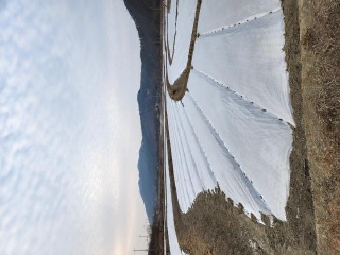 경북 영천시 신녕면 전답 경매 물건 사진