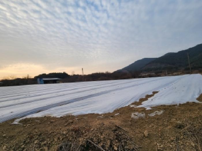 경북 영천시 신녕면 전답 경매 물건 사진 5 · 2026타경1050