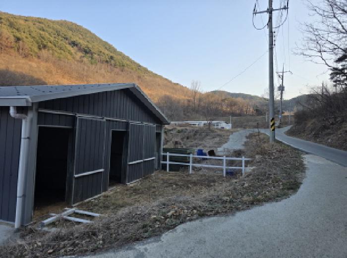 경북 청도군 풍각면 임야 경매 물건 사진 6 · 2026타경1060