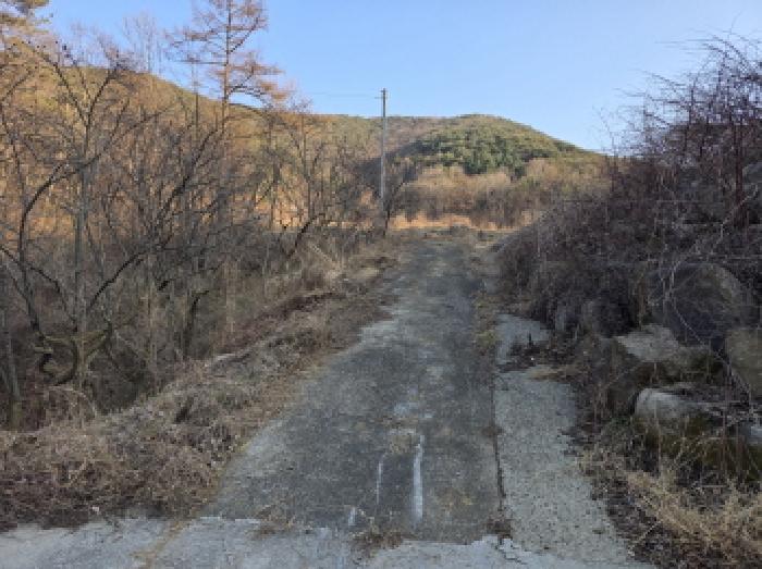 경북 청도군 풍각면 임야 경매 물건 사진
