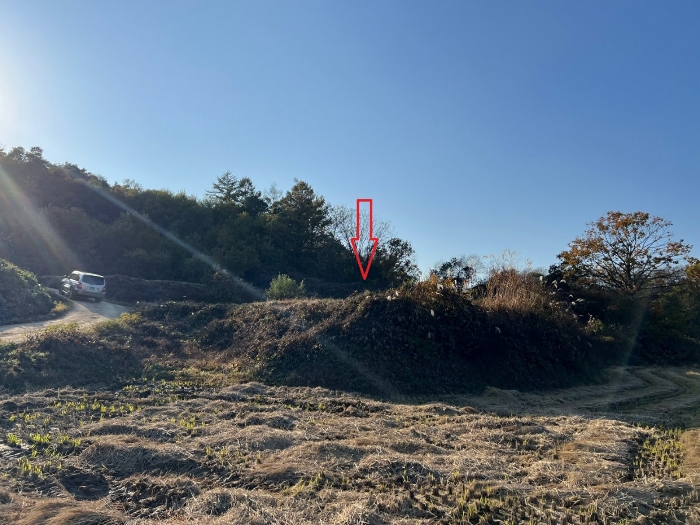 경상북도 안동시 풍산읍 현애리 522 답 경매 물건 사진