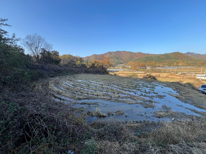 경북 안동시 풍산읍 답 경매 물건 사진 4 · 2024타경1708