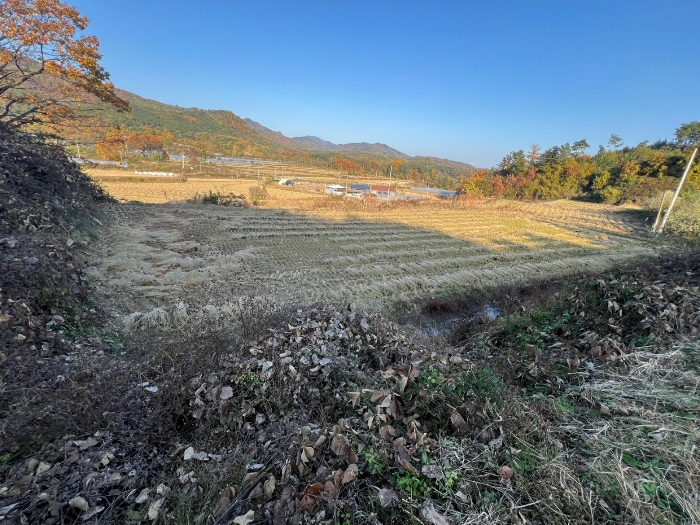 경북 안동시 풍산읍 답 경매 물건 사진 5 · 2024타경1708