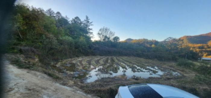 경북 안동시 풍산읍 답 경매 물건 사진