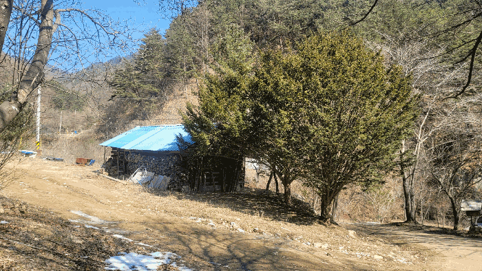 경상북도 봉화군 소천면 분천리 696 답 경매 물건 사진