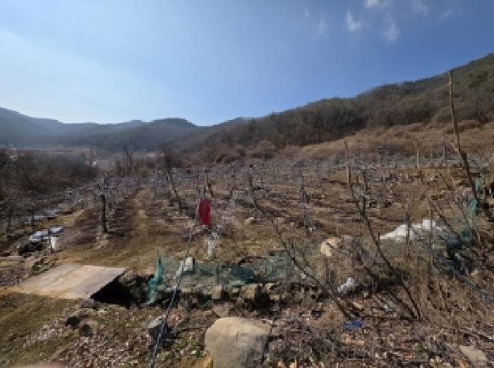 경북 안동시 길안면 전 경매 물건 사진 5 · 2025타경100272