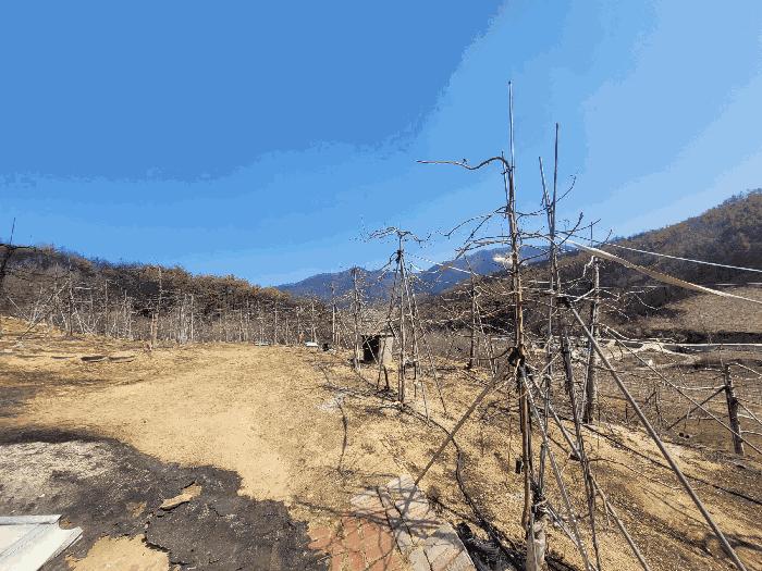 경북 안동시 길안면 전 경매 물건 사진