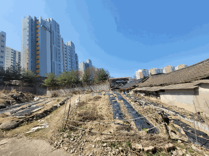 경북 안동시 태화동 임야 경매 물건 사진 6 · 2025타경100289