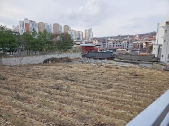 경북 안동시 태화동 임야 경매 물건 사진 2 · 2025타경100289