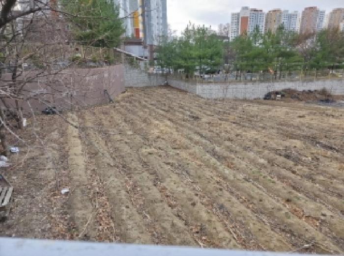 경북 안동시 태화동 임야 경매 물건 사진 3 · 2025타경100289