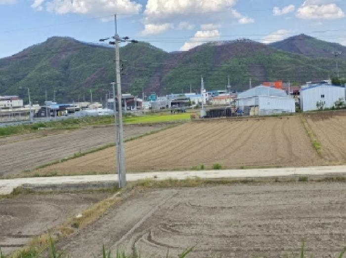 경북 안동시 길안면 임야 경매 물건 사진 2 · 2025타경100299