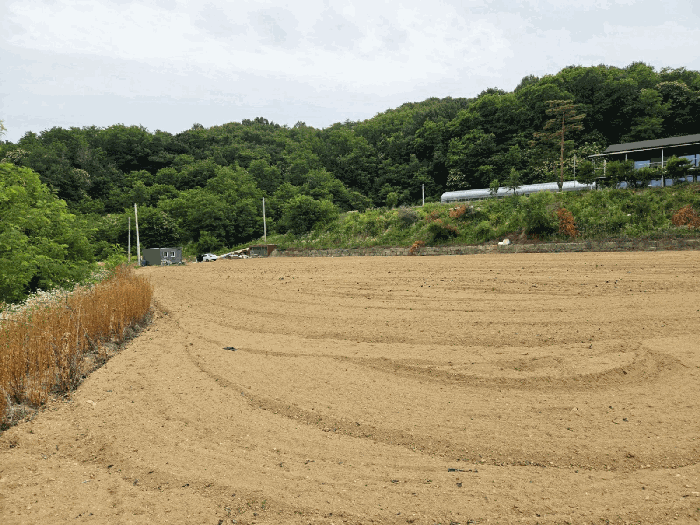 경상북도 안동시 풍산읍 괴정리 423 전 경매 물건 사진