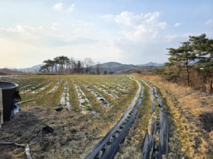 경북 안동시 풍산읍 전 경매 물건 사진
