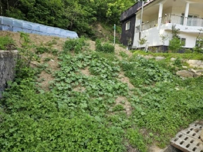 경북 봉화군 봉화읍 대지 경매 물건 사진 2 · 2025타경100310