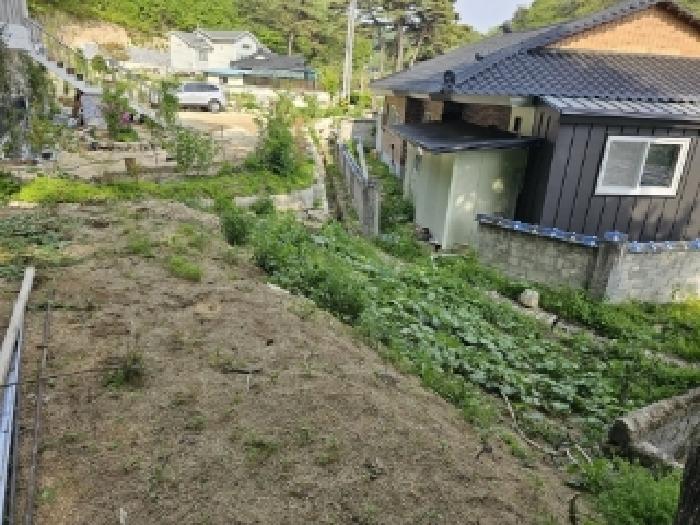 경북 봉화군 봉화읍 대지 경매 물건 사진 3 · 2025타경100310