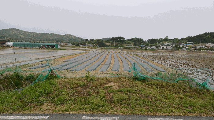 경북 안동시 풍천면 답 경매 물건 사진 3 · 2025타경100330