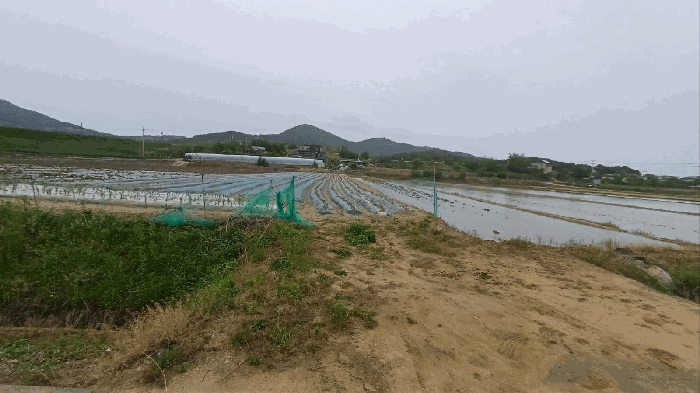 경북 안동시 풍천면 답 경매 물건 사진 4 · 2025타경100330