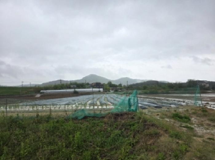 경북 안동시 풍천면 답 경매 물건 사진 2 · 2025타경100330