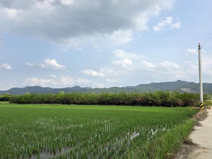 경북 안동시 풍천면 전 경매 물건 사진