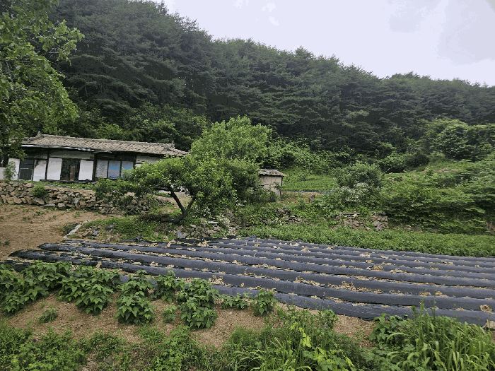 경상북도 봉화군 법전면 눌산리 1065 전 경매 물건 사진