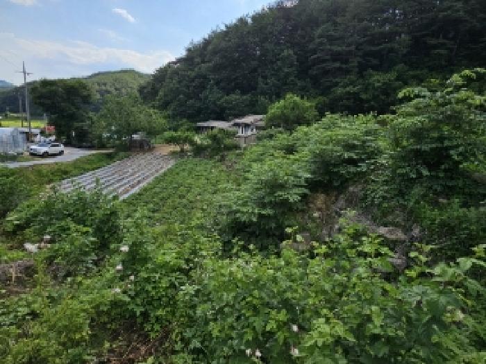 경북 봉화군 법전면 전 경매 물건 사진