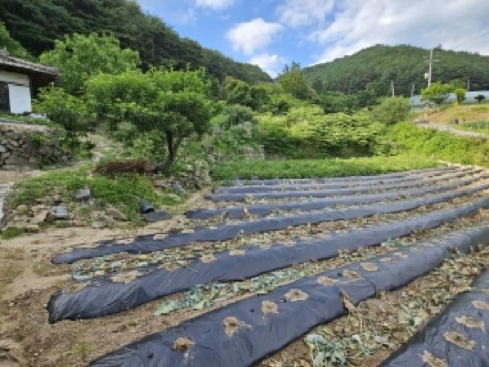 경북 봉화군 법전면 전 경매 물건 사진 2 · 2025타경100391